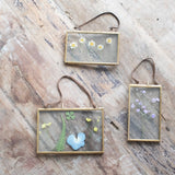 Brass Frame - 3" x 5"